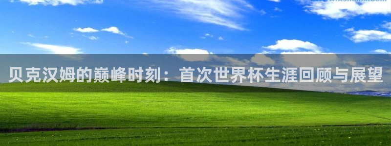 世界杯亚洲区预选赛积分榜：贝克汉姆的巅峰时刻：首次世界杯生涯回顾与展望