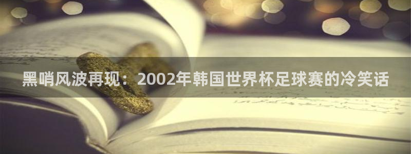 世界杯 直播:黑哨风波再现:2002年韩国世界杯足球赛的冷笑话