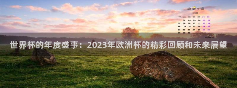 2026世界杯买球：世界杯的年度盛事：2023年欧洲杯的精彩回顾和未来展望