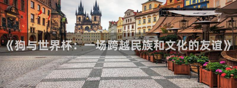 2026世界杯南美区积分榜：《狗与世界杯：一场跨越民族和文化的友谊》