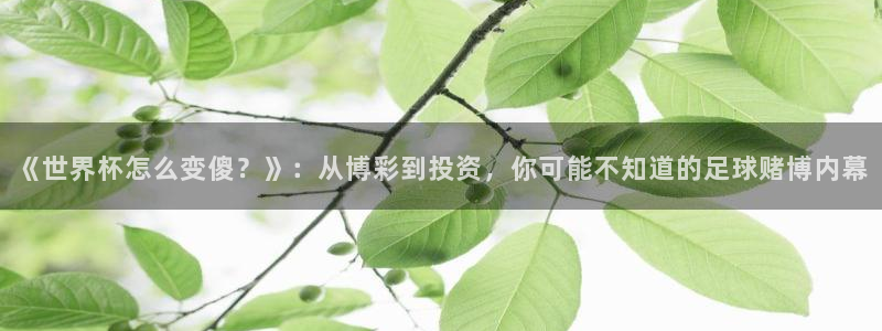 女足世界杯赛程：《世界杯怎么变傻？》：从博彩到投资，你可能不知道的足球赌博内幕