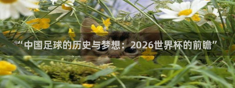 英格兰联赛杯直播：“中国足球的历史与梦想：2026世界杯的前瞻”