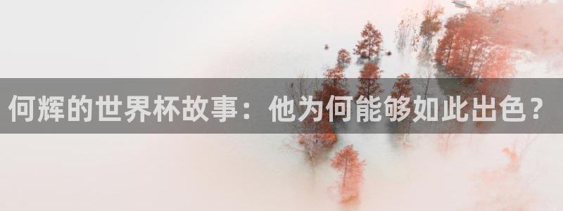 世界杯2026赛程：何辉的世界杯故事：他为何能够如此出色？
