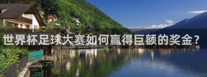 欧洲世界杯预选赛:世界杯足球大赛如何赢得巨额的奖金?