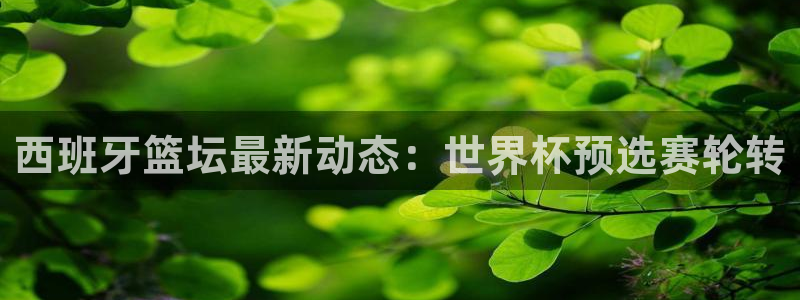 世界杯第一场比赛:西班牙篮坛最新动态:世界杯预选赛轮转