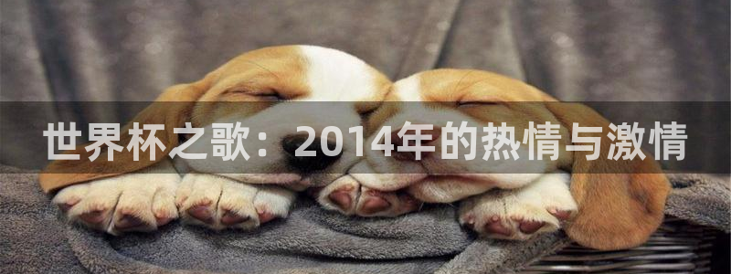 世界杯足球:世界杯之歌:2014年的热情与激情
